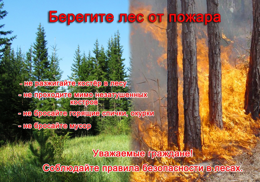 Укажите подпись к картинке.